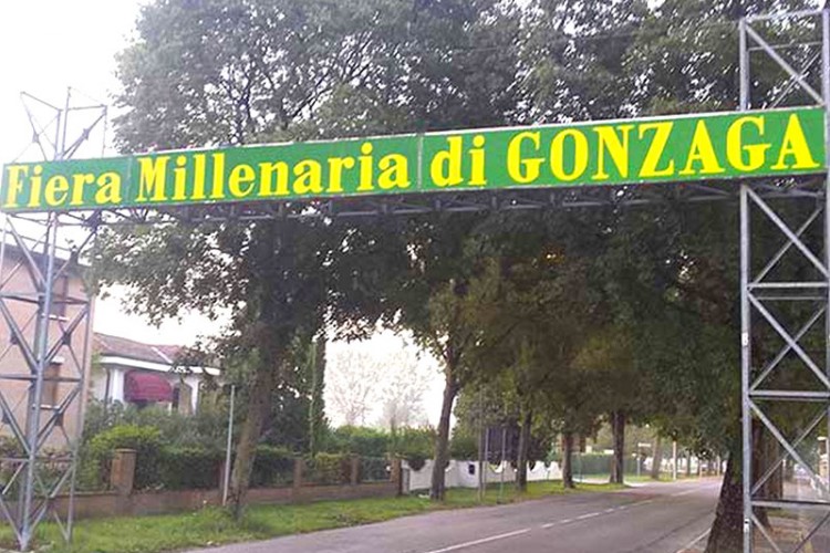 Fiera Millenaria di Gonzaga 2015