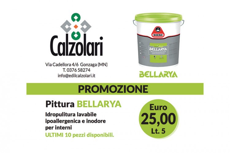 Promozione estiva: Pittura Bellarya a €25!